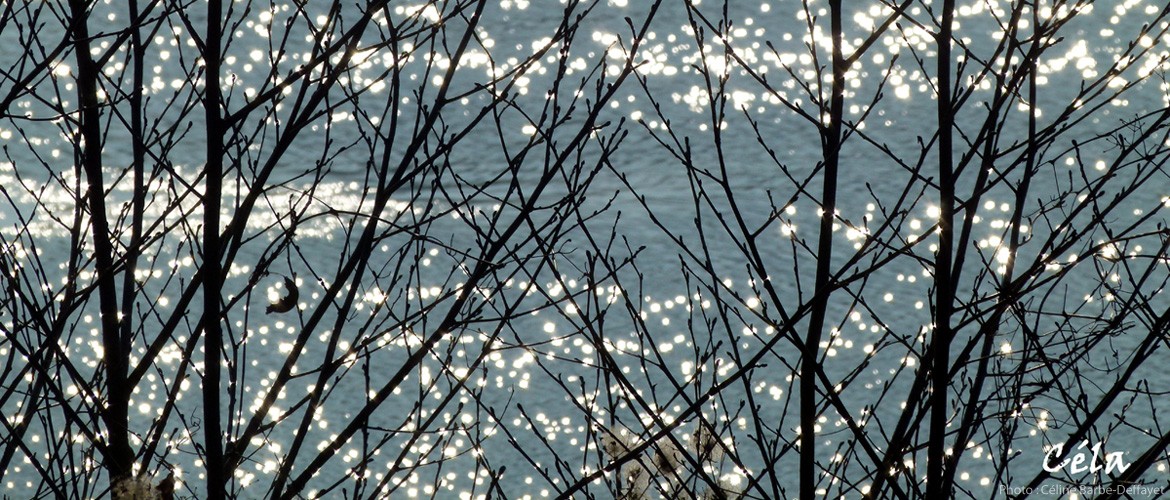 Lien vers la page sur l'hypnose, l'auto-hypnose, les mécanismes, la thérapie