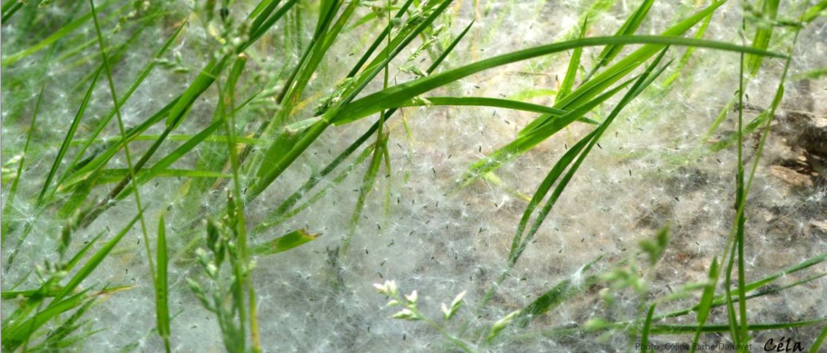 Lien vers la page RITMO